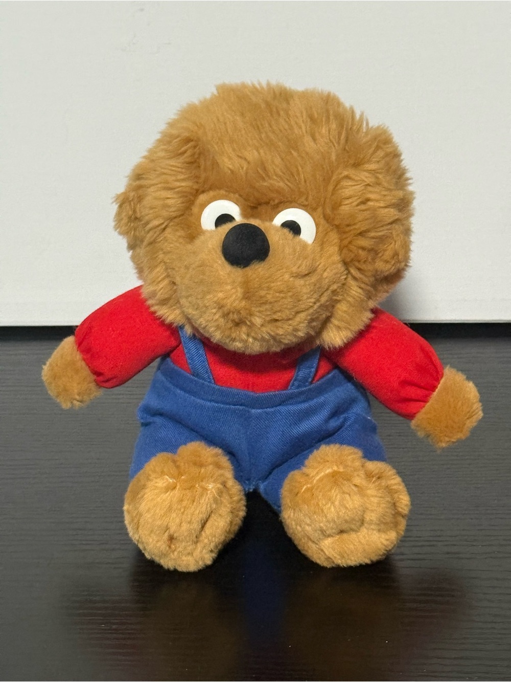 Vintage 1990’s Berenstain Bears “Brother Bear” Plush EUC